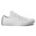 Converse Chuck Taylor All Star Mono Leather White