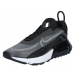 Nike Sportswear Nízke tenisky 'Air Max 2090'  sivá / čierna