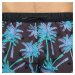 Pánske šortky 100 Sunstripe Palmpanter na surf