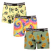 3PACK Men's Boxers Horsefeathers Sidney