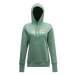 Grundéns mikina women's script hoodie green bay