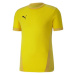 Puma teamGOAL 23 dres M 704171 07