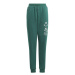 Adidas BLUV Q3 Pant Jr IA1553 176 cm