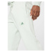 ADIDAS SPORTSWEAR Športové nohavice 'Essentials Feelvivid  Fleece Straight'  pastelovo zelená / 