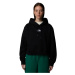 The North Face Essential Crop Hoodie W NF0A89EX-JK