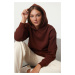 Trendyol Brown Hooded Regular/Normal Pattern Knitted Sweatshirt