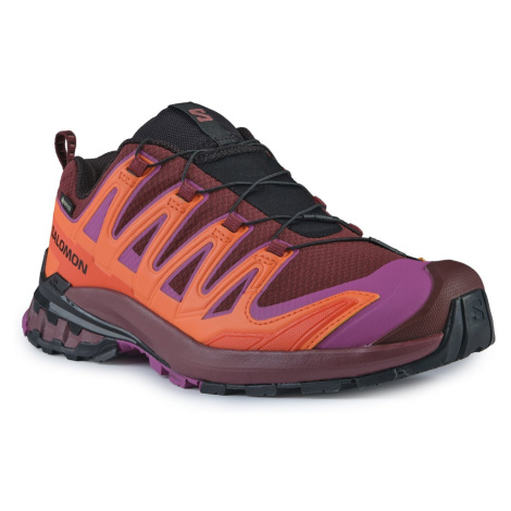 Salomon Xa Pro 3D V9 GTX W L47961900