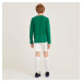 Detský futbalový dres s dlhým rukávom Viralto Club zelený
