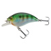 Wobler Crankbait Shallow Runner WXM CRKSR 53 F Bluegill