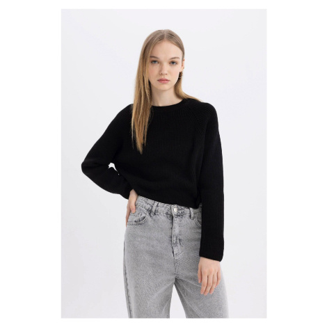 DEFACTO Cool Regular Fit Crew Neck Basic Sweater