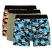 DEFACTO Regular Fit 3-Piece Boxer