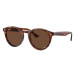 Ray-Ban Larry RB7680S 954/AN Polarized - M (49)
