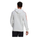 Adidas Essentials Hoodie M GM3246 muži