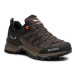 Salewa Trekingová obuv Ws Mtn Trainer Lite Gtx GORE-TEX 61362-7517 Hnedá