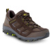 Jack Wolfskin Trekingová obuv Vojo 3 Texapore Low M 4042441 Hnedá