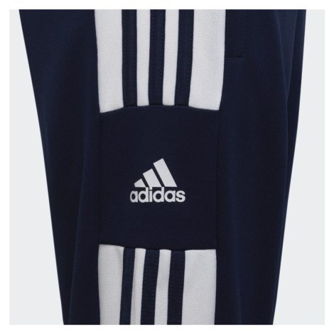 Tepláky Squadra 21 Training Adidas