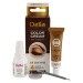 Delia Cosmetics Argan Oil farba na obočie odtieň 3.0 Dark Brown