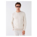 LC Waikiki Crew Neck Long Sleeve Men's Knitwear Sweater