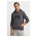 Bavlnená mikina Helly Hansen HH LOGO HOODIE pánska, šedá farba, s kapucňou, s nášivkou, 33977