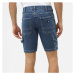 Dickies Fairdale Short 00 A40TLX CLB