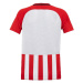Dětské fotbalové tričko Striped Division Jr 894102-658 - Nike L (147-158 cm)