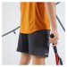 Pánske tenisové šortky Essential+ sivé