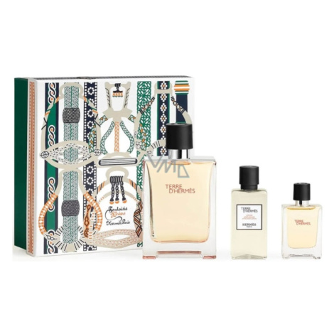 Hermes Terre D'Hermes EDT-S 100ml + EDT-S 12.5ml + Asl 40ml Hermés