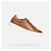 GEOX Brown men's sneakers Deiven - Men's