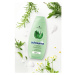 Schwarzkopf Schauma 7 Herbs bylinný šampón pre normálne až mastné vlasy