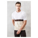 ALTINYILDIZ CLASSICS Men's Ecru Beige Standard Fit Crew Neck 100% Cotton Striped Knitwear T-Shir