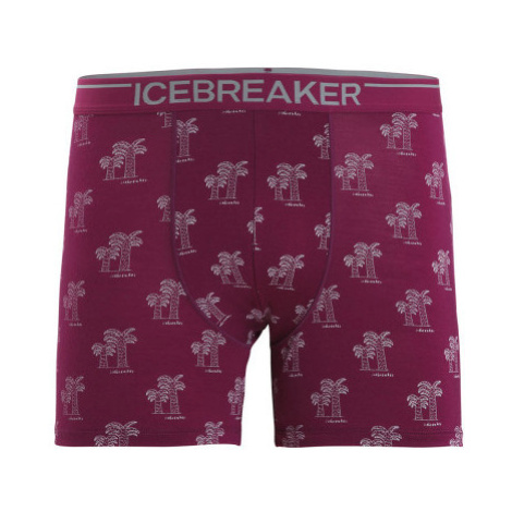 Pánske boxerky Icebreaker Mens Anatomica Boxers Icebreaker Merino
