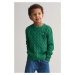 SVETER GANT COTTON CABLE SHIELD CREW WILD GREEN