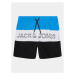 Jack&Jones Junior Plavecké šortky 12227529 Farebná Regular Fit