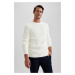 DEFACTO Standard Fit Crew Neck Sweater