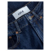 JJXX Džínsy 'Lisbon'  modrá denim / biela