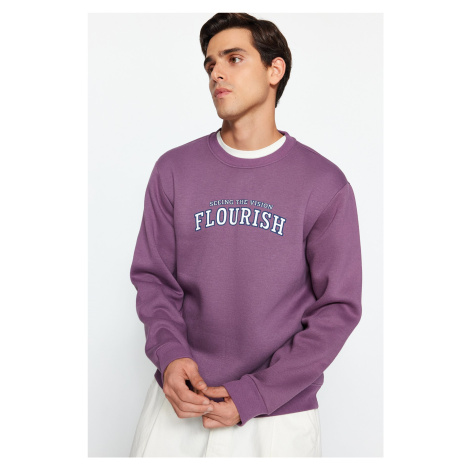 Trendyol Dark Lilac Regular/Normal Cut Text Printed Inside Polar Fleece/Warm Sweatshirt