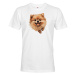 Pánské tričko s potlačou Pomerianský špic - tričko pre milovníkov psov