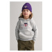 ČAPICA GANT ARCHIVE SHIELD BEANIE PANSY PURPLE