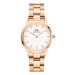 Daniel Wellington Hodinky Link DW00100213 Zlatá