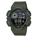 CASIO WS-1500H-3BVEF