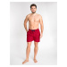 Yoclub Man's Swimsuits Men's Beach Shorts