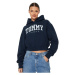 Tommy Jeans  DW0DW19291  Mikiny Modrá