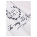 TOMMY HILFIGER Tričko  námornícka modrá / jasne červená / biela
