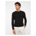 LC Waikiki Crew Neck Long Sleeve Men's Knitwear Sweater