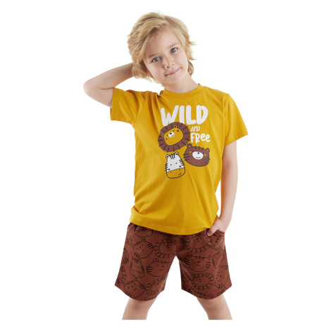 Denokids Wild Boy's Summer T-shirt Shorts Set