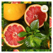 Herbal Essences Kondicionér White Grapefruit Na Dodanie Lesku Na Matné vlasy 275ml