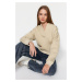 Trendyol Stone Thick Fleece Hooded Comfort Cut Crop Knitted Sweatshirt