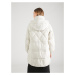 ESPRIT Zimný kabát  svetlosivá
