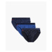 Men's sports briefs ATLANTIC 3Pack - blue