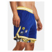 Šortky Under Armour Curry Mesh Short 2